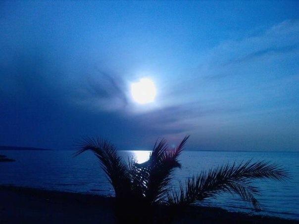 House With Swimming Pool Blue Diamond Apartamento Povljana Quarto foto