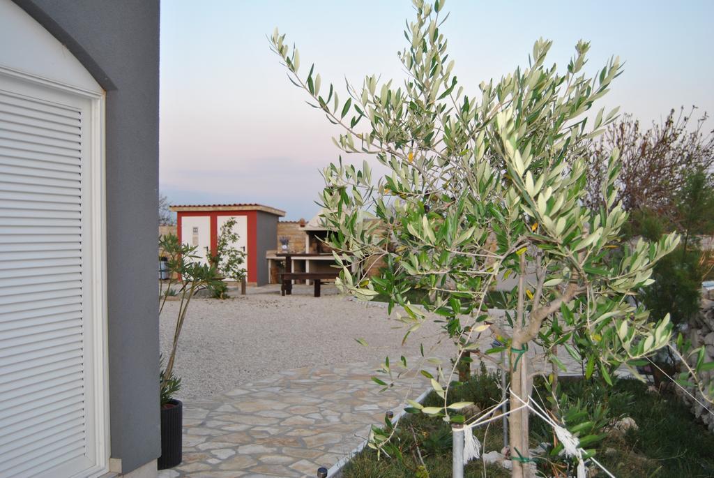 House With Swimming Pool Blue Diamond Apartamento Povljana Exterior foto