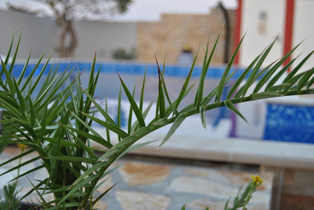 House With Swimming Pool Blue Diamond Apartamento Povljana Exterior foto