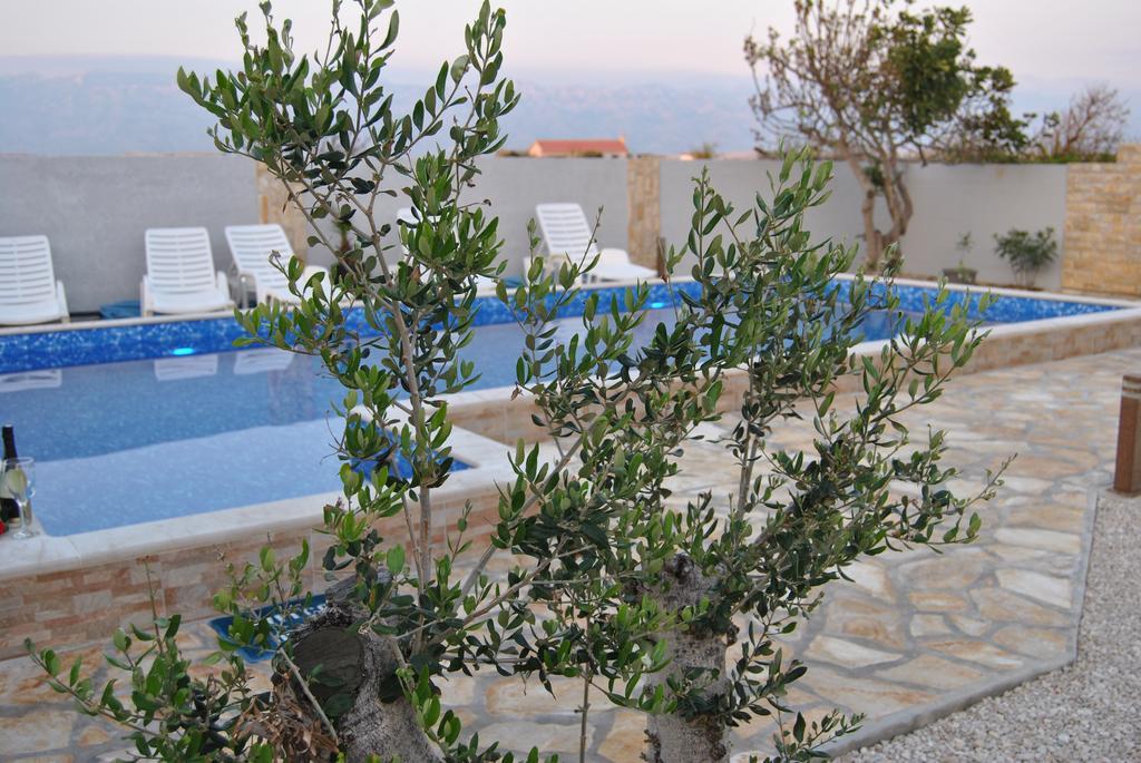 House With Swimming Pool Blue Diamond Apartamento Povljana Exterior foto